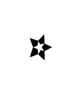 Star Sticker 42