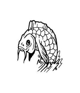 Fish Sticker 242