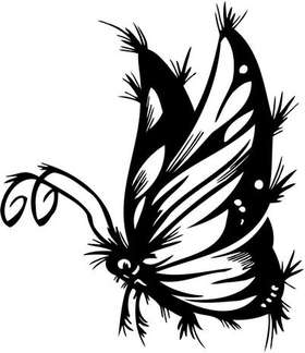 Tribal Butterfly Sticker 247