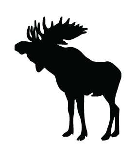 Moose Sticker 40
