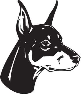 Doberman Pinscher Dog Sticker