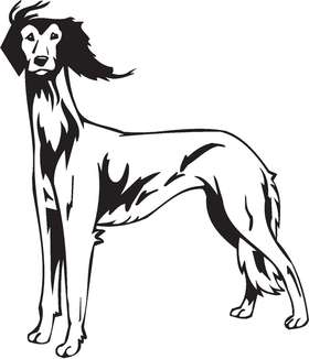 Saluki Dog Sticker