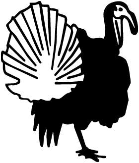 Turkey Sticker 5