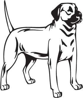 Blackmouth Cur Dog Sticker