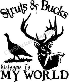 Struts Bucks My World Sticker