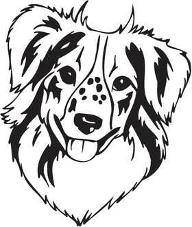 Minature American Shepherd Dog Sticker