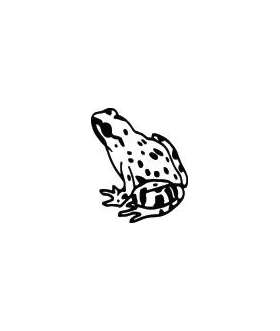 Frog Sticker 40