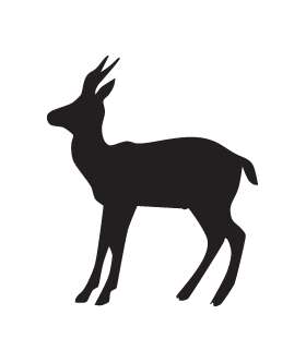 Antelope Sticker 3