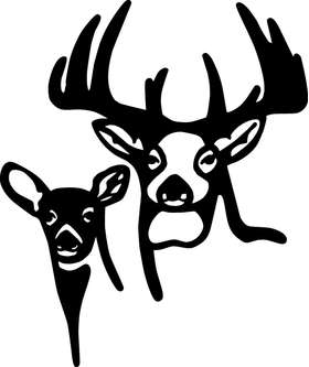 Buck and Doe Sticker 3