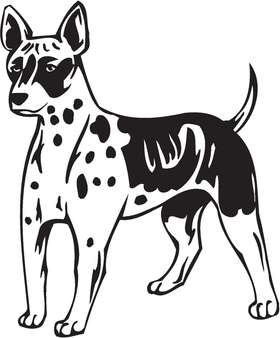 American Hairless Terrier Dog Sticker