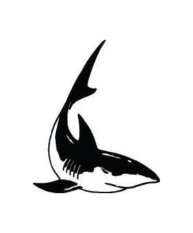 Shark Sticker 292