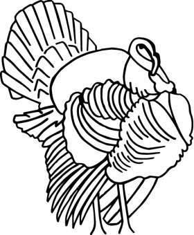 Turkey Sticker 4