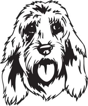 Basset Fauve de Bretagne Dog Sticker