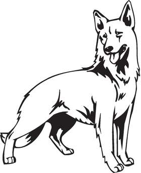 White Shepherd Dog Sticker
