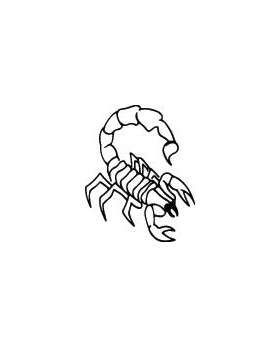 Scorpion Sticker 30