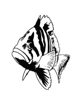 Fish Sticker 195