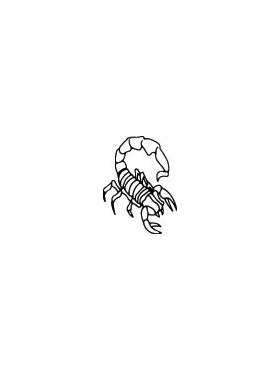 Scorpion Sticker 27