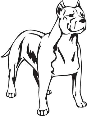 American Staffordshire Terrier Dog Sticker