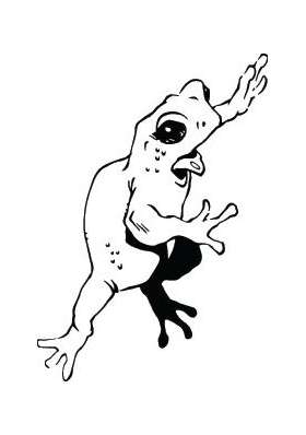 Frog Sticker 11