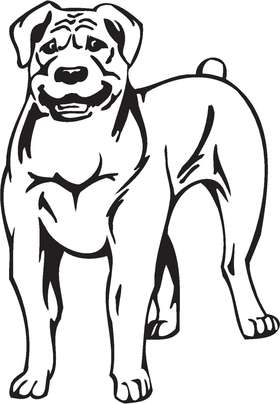 Boerboel Dog Sticker
