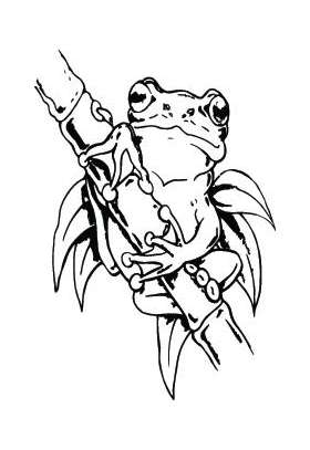 Frog Sticker 26