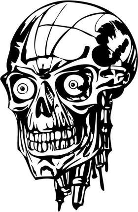 Skull Sticker 168