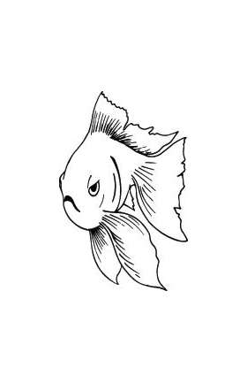 Fish Sticker 609