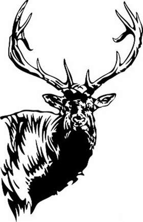 Elk 11 Sticker