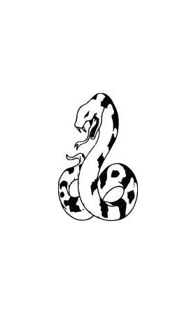 Snake Sticker 77