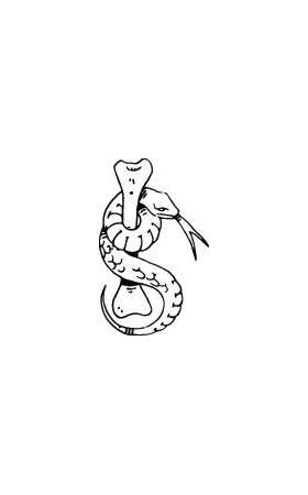 Snake Sticker 46