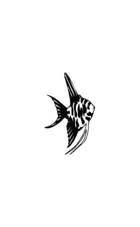 Fish Sticker 177