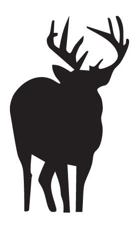 Elk Sticker 20