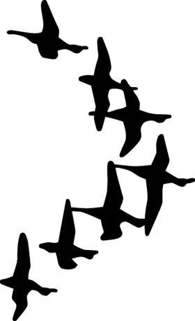 Ducks Flying in a V Sticker