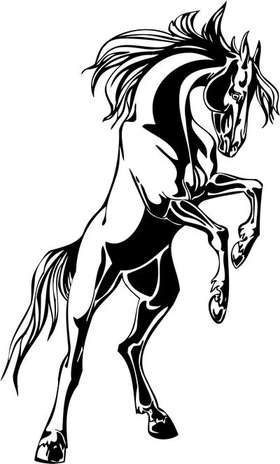 Flaming Horse Sticker 12
