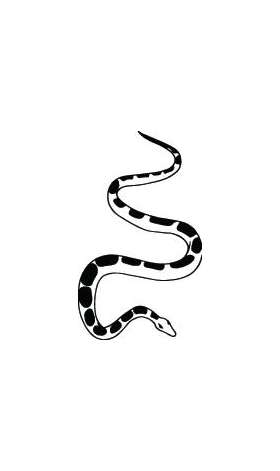 Snake Sticker 229