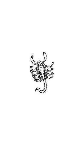 Scorpion Sticker 49