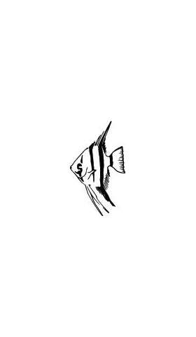 Fish Sticker 61