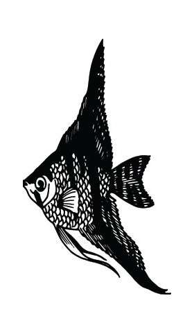 Fish Sticker 189