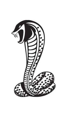 Snake Sticker 351