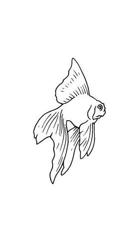 Fish Sticker 338
