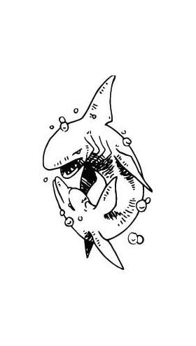 Shark Sticker 171