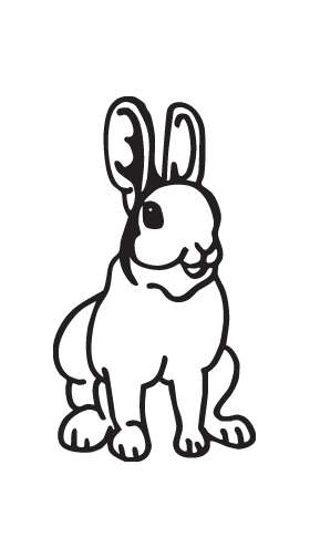 Rabbit Sticker 3