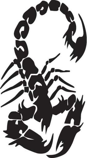 Scorpion Sticker 42