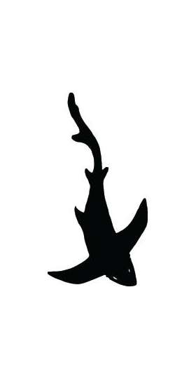 Shark Sticker 285