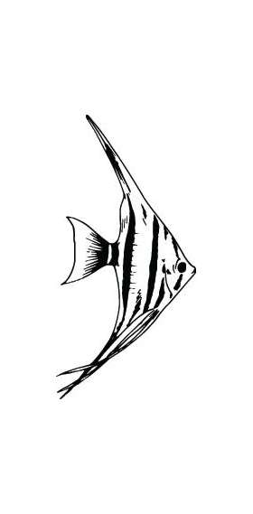 Fish Sticker 249