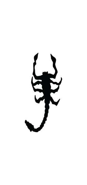 Scorpion Sticker 36