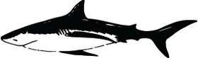 Shark Sticker 239