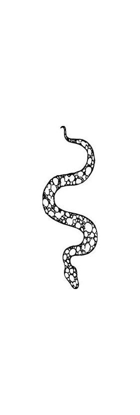 Snake Sticker 184
