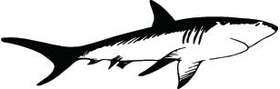 Shark Sticker 26