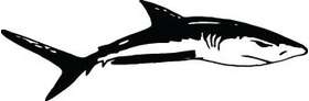 Shark Sticker 150